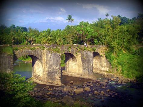 what region is tayabas quezon|Tayabas: Home of the Finest Lambanog and the City of Festivals.